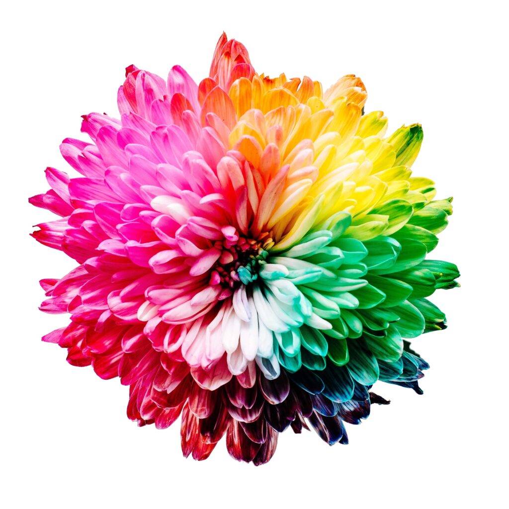 สี colour