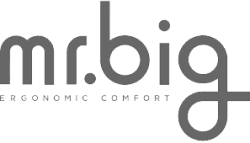 Mrbig Logo