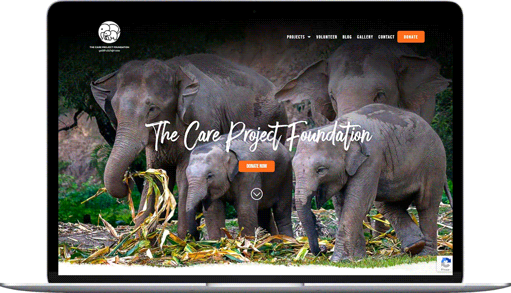 The Care Project Foundation 2
