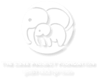 The Care Project Foundation 1