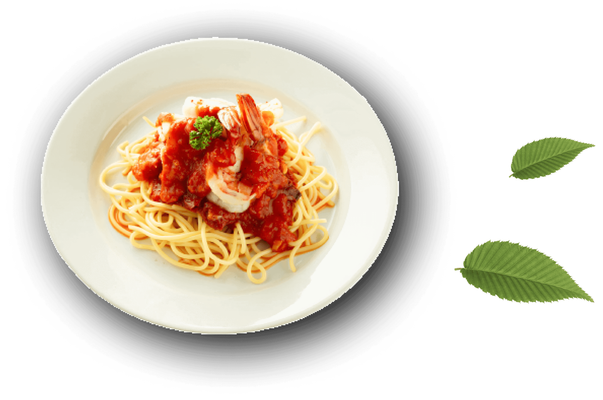 Spaghetti house 5