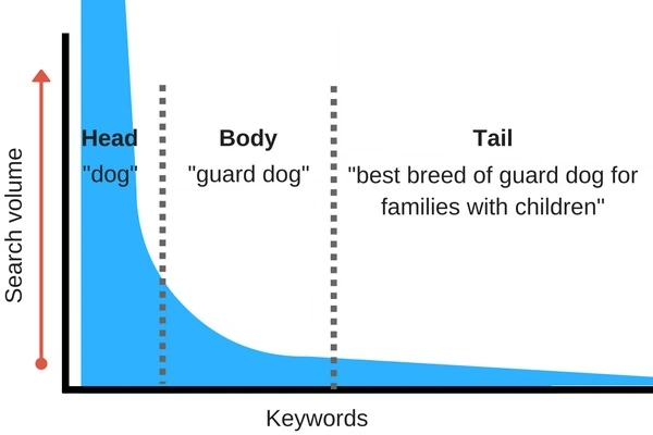 Graph demonstrating what long-tail keywords look like