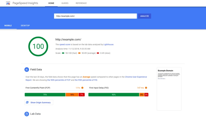 Google PageSpeed Insight Score