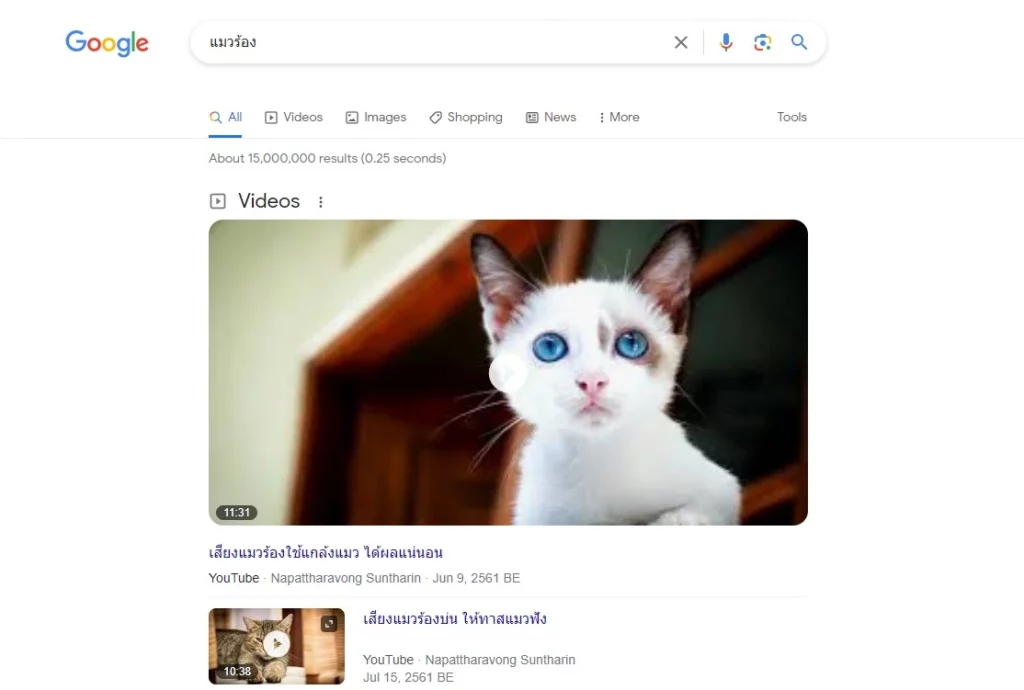 Featured Snippets Video Example