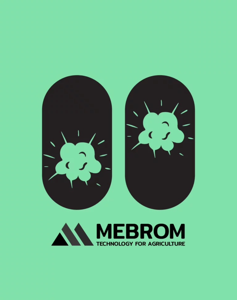 mebrom