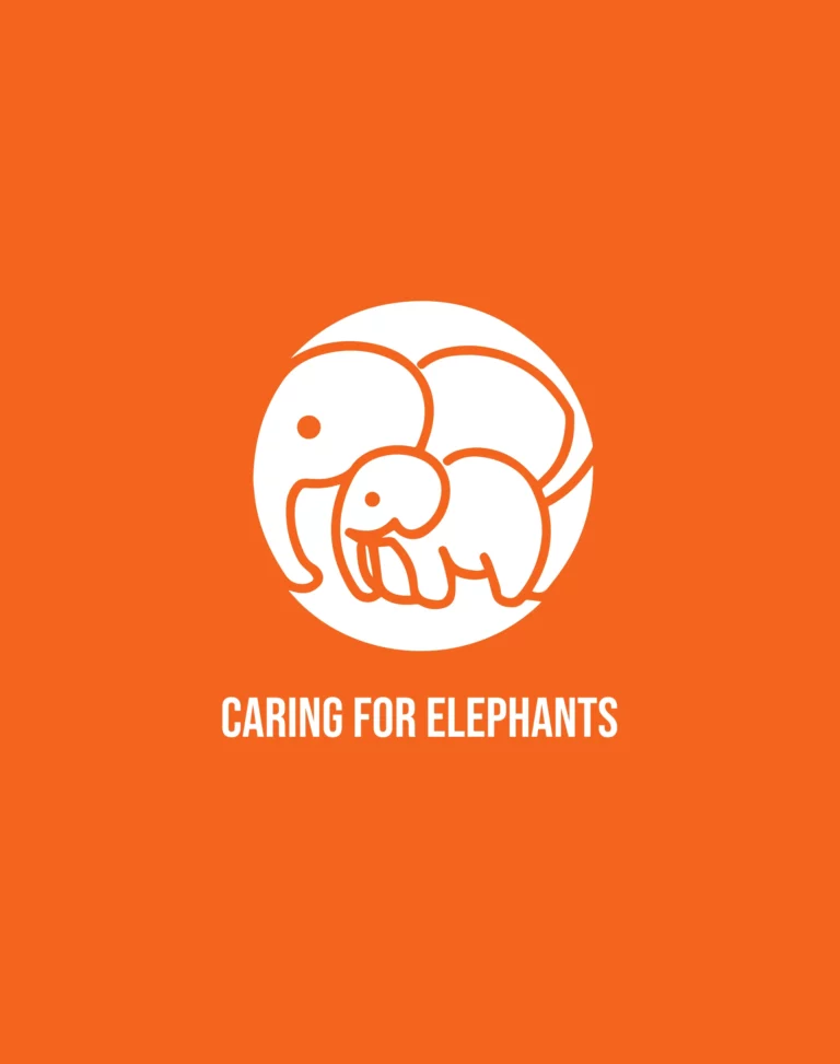 the-care-project-foundation