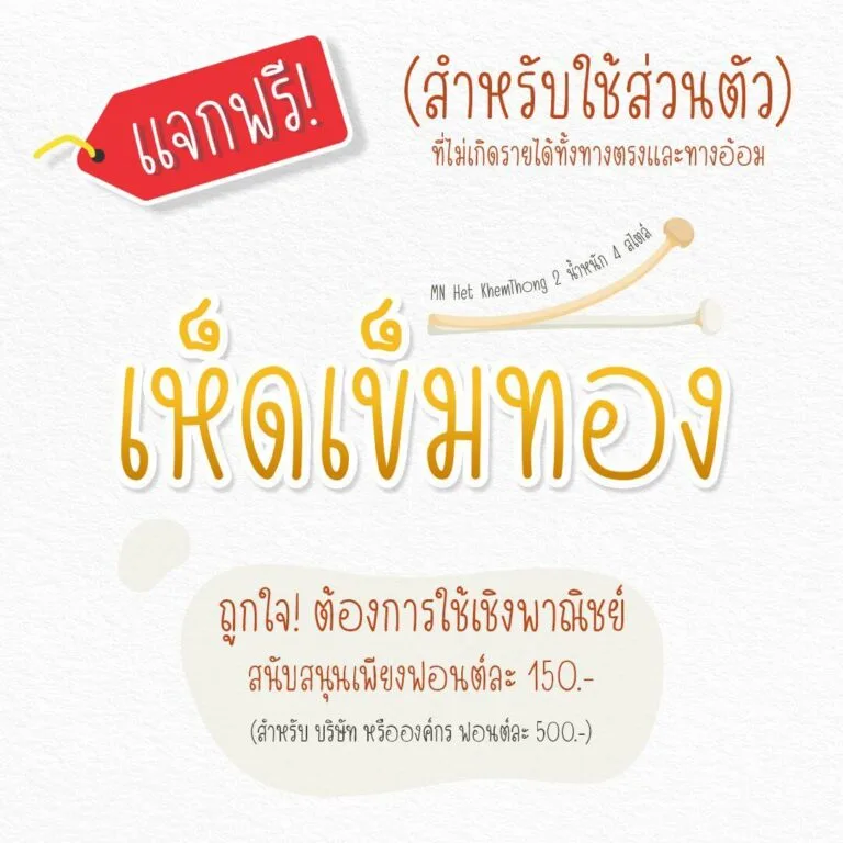 ฟอนต์ตัวบาง แคบ เห็ดเข็มทอง (MN Het KhemThong)